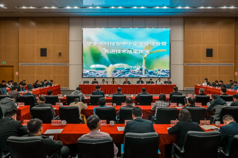 20250301219289.jpg 6.jpg